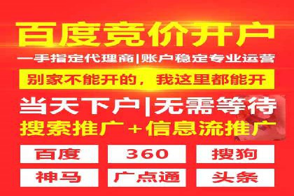 SEM运营中的数据分析和优化案例研究